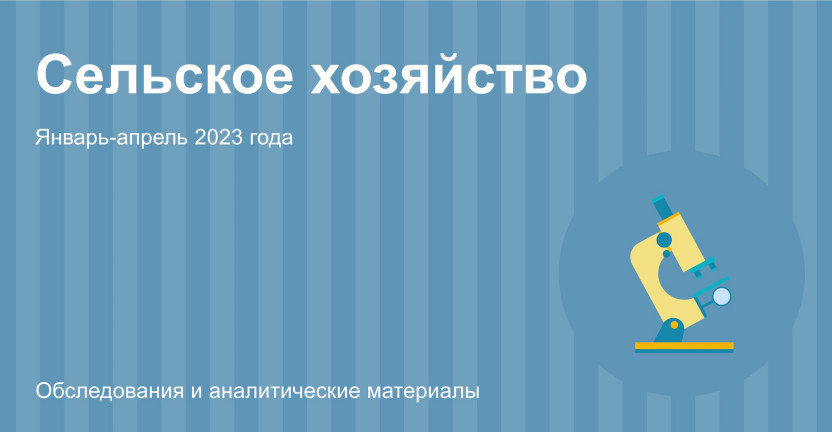 Сельское хозяйство в Алтайском крае. Январь-апрель 2023 года